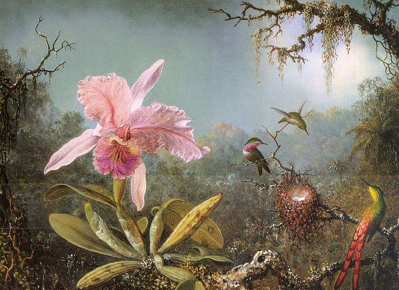 Martin Johnson Heade Cattleya Orchid Three Brazilian Hummingbirds Spain oil painting art